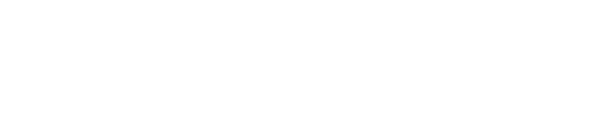 Top Lawyers Manhattan NYC Logo